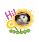 月ときどき太陽（個別スタンプ：1）