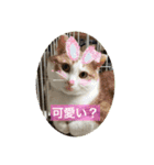 月ときどき太陽（個別スタンプ：3）