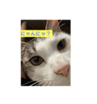 月ときどき太陽（個別スタンプ：8）