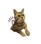 癒し猫と癒し犬の日常言葉（個別スタンプ：2）