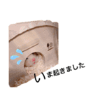 プードルのモカとお友達（個別スタンプ：35）