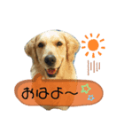 チョイスの日常（個別スタンプ：4）
