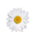 はな花はな（個別スタンプ：1）