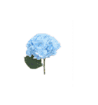 はな花はな（個別スタンプ：13）
