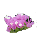はな花はな（個別スタンプ：24）