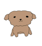 家の愛犬くぅシリーズ 3（個別スタンプ：2）