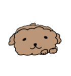 家の愛犬くぅシリーズ 3（個別スタンプ：8）