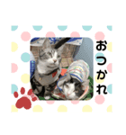 たけ＆たまスタンプ（個別スタンプ：1）