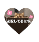にゃんきちすたんぷ2（個別スタンプ：7）