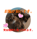 にゃんきちすたんぷ2（個別スタンプ：9）