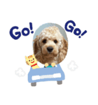 buzz ＆coo（個別スタンプ：3）