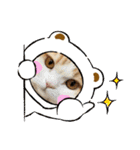 ぶーにゃんファミリー（個別スタンプ：8）