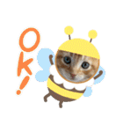 ぶーにゃんファミリー（個別スタンプ：15）