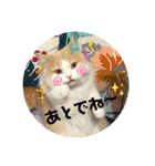 ぶーにゃんファミリー（個別スタンプ：18）