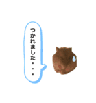 ちびハムちゃん3（個別スタンプ：3）