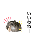 ちびハムちゃん3（個別スタンプ：8）