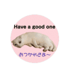 白猫のんびりライフ2（個別スタンプ：15）