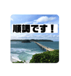 運送スタンプ（個別スタンプ：5）