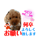 トイプードル（晴明）6（個別スタンプ：24）