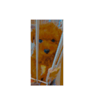 しぇり〜(•'-'•)（個別スタンプ：2）