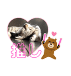 てんしゃスタンプ②（個別スタンプ：5）