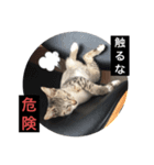 てんしゃスタンプ②（個別スタンプ：6）