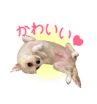 みやざわさんちの3きょうだい（個別スタンプ：10）