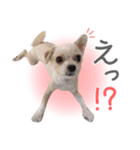みやざわさんちの3きょうだい（個別スタンプ：14）