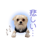 みやざわさんちの3きょうだい（個別スタンプ：18）