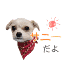 みやざわさんちの3きょうだい（個別スタンプ：23）