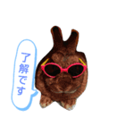 CoCoaさんスタンプ（個別スタンプ：2）