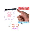 よく喋る Good（第2弾）（個別スタンプ：10）
