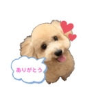 ウピ 第2弾（個別スタンプ：1）