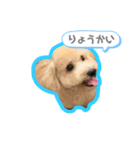ウピ 第2弾（個別スタンプ：6）