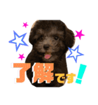 NOCOとSENA（個別スタンプ：11）