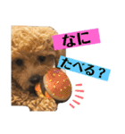 NOCOとSENA（個別スタンプ：12）