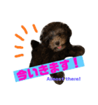 NOCOとSENA（個別スタンプ：13）
