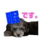 NOCOとSENA（個別スタンプ：15）