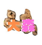 NOCOとSENA（個別スタンプ：24）