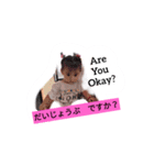 ひかりのスタンプ 2（個別スタンプ：29）
