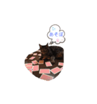 にゃんこ達が一言（個別スタンプ：22）
