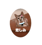 にゃんこ達が一言（個別スタンプ：25）