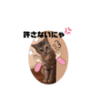 にゃんこ達が一言（個別スタンプ：28）
