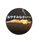 みにくぅ〜スタンプ★（個別スタンプ：8）