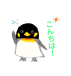 ペンギンとペンヒナ（個別スタンプ：1）