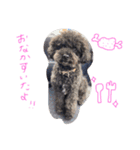 かぼごま（個別スタンプ：3）