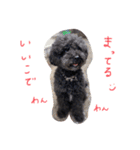 かぼごま（個別スタンプ：5）