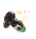 かぼごま（個別スタンプ：15）