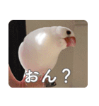 もちもちつくねスタンプ（個別スタンプ：6）