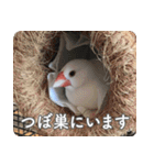 もちもちつくねスタンプ（個別スタンプ：12）